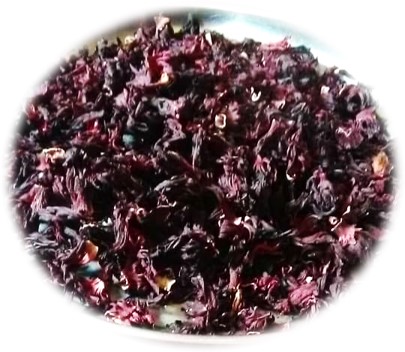 Hibiscus Flower
